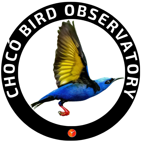 choco.birdobservatory