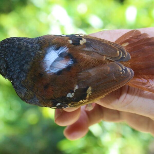 470991173_9404690106210321_6296596306583970207_n