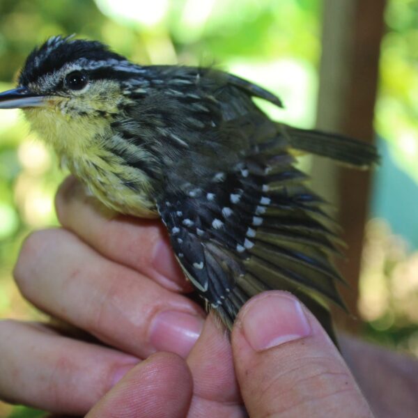 471084685_9392452930767372_302644219171232707_n