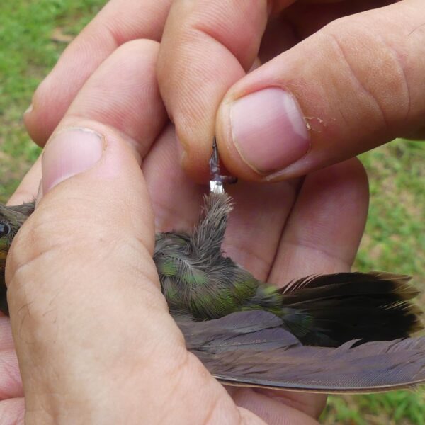 481173286_9763703456975649_5339955967188260425_n